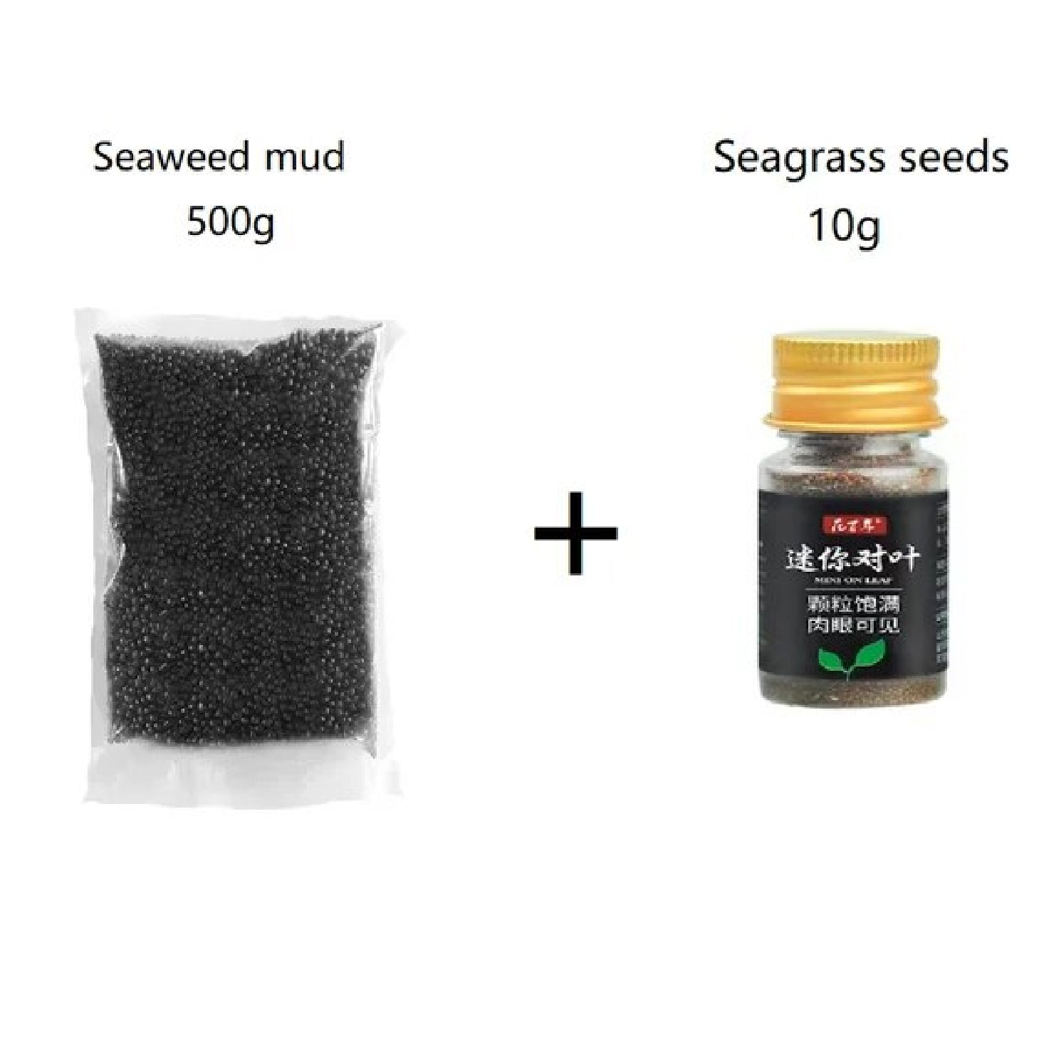 COMBO grass seed ecological  and water grass mud