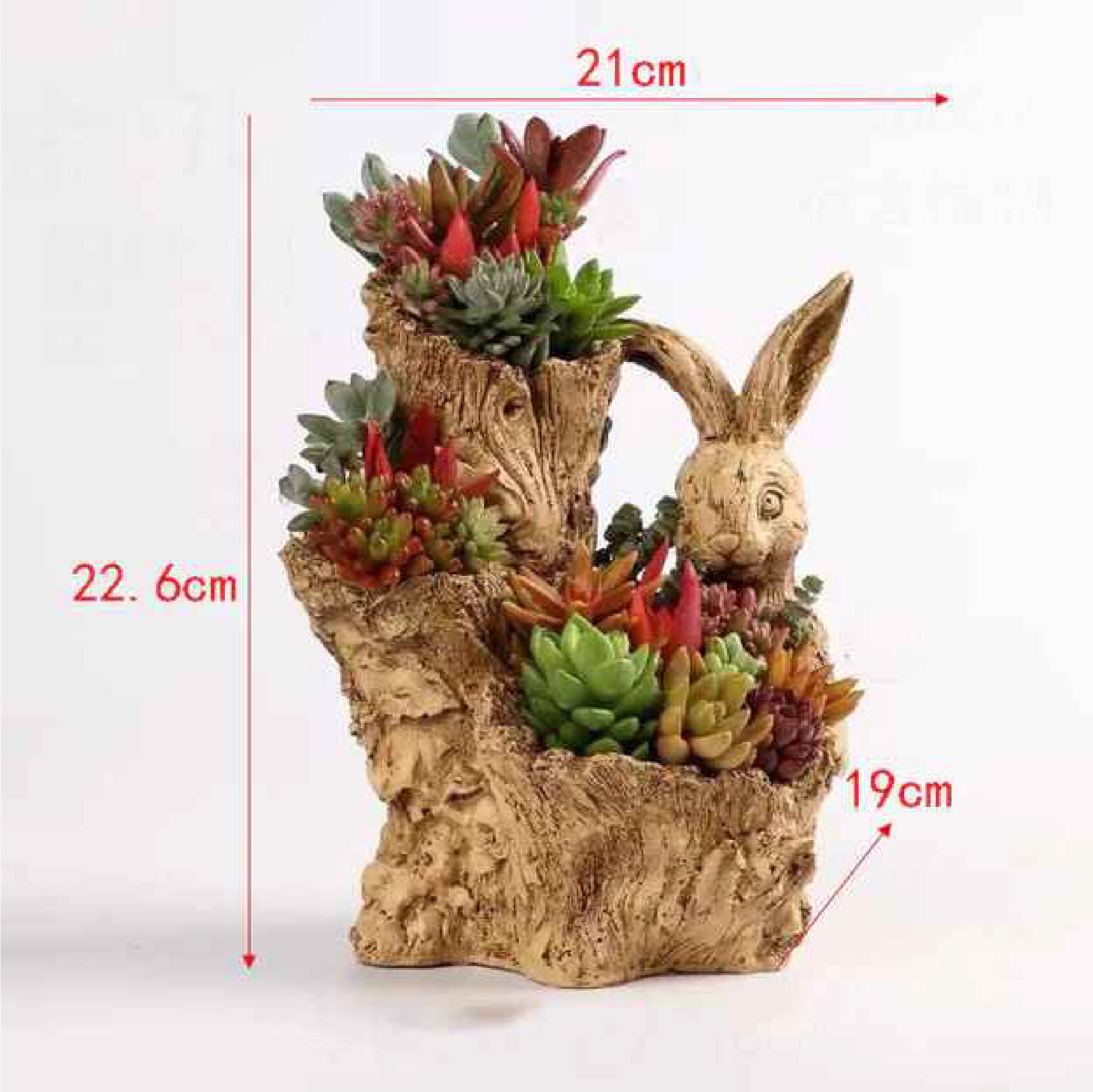 Broken Root Shape Wood Pot