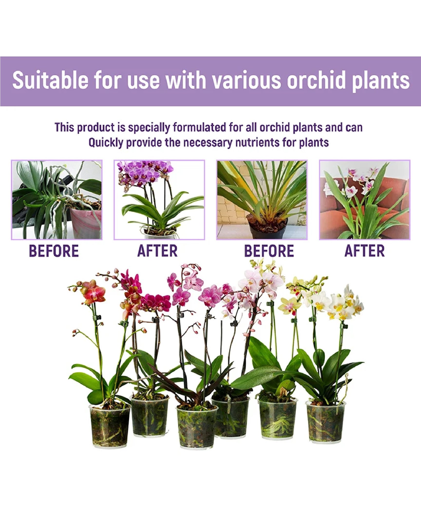 Yegbong Orchid Fertilizer 50ml