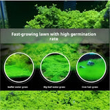 COMBO grass seed ecological  and water grass mud