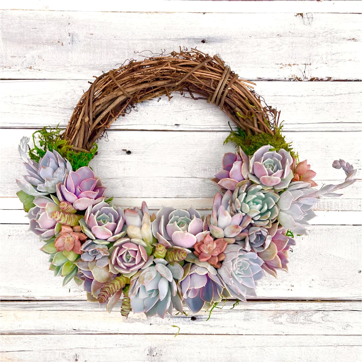 Emilee Grapevine Wreath Trimmed