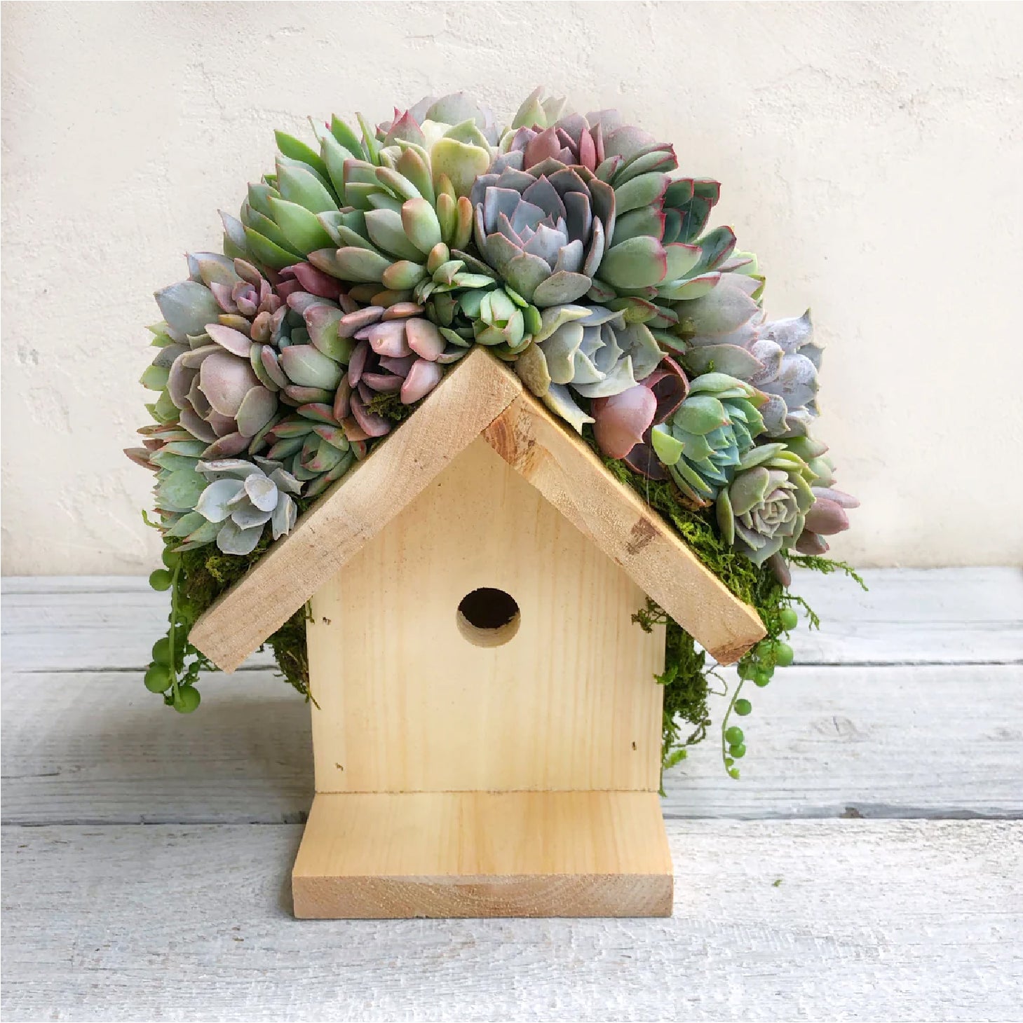 Birdhouse