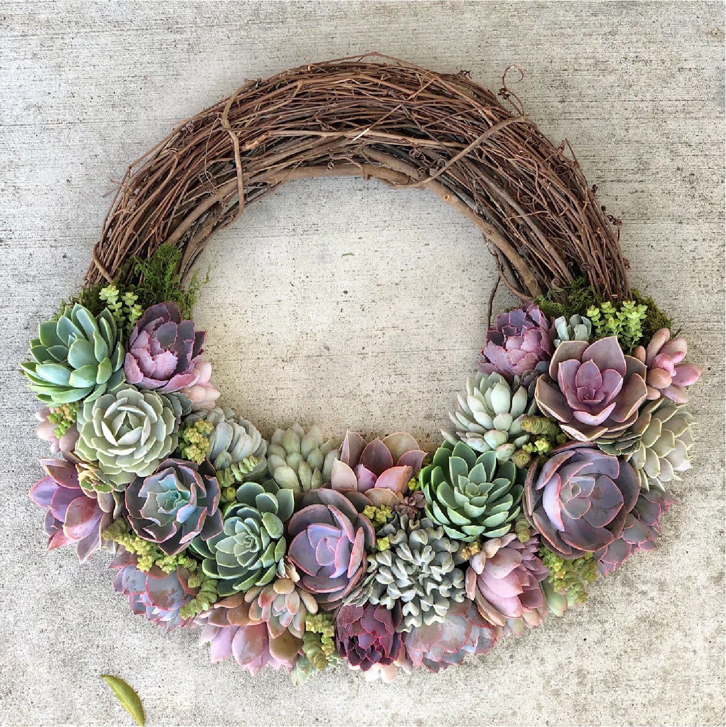 Emilee Grapevine Wreath Trimmed