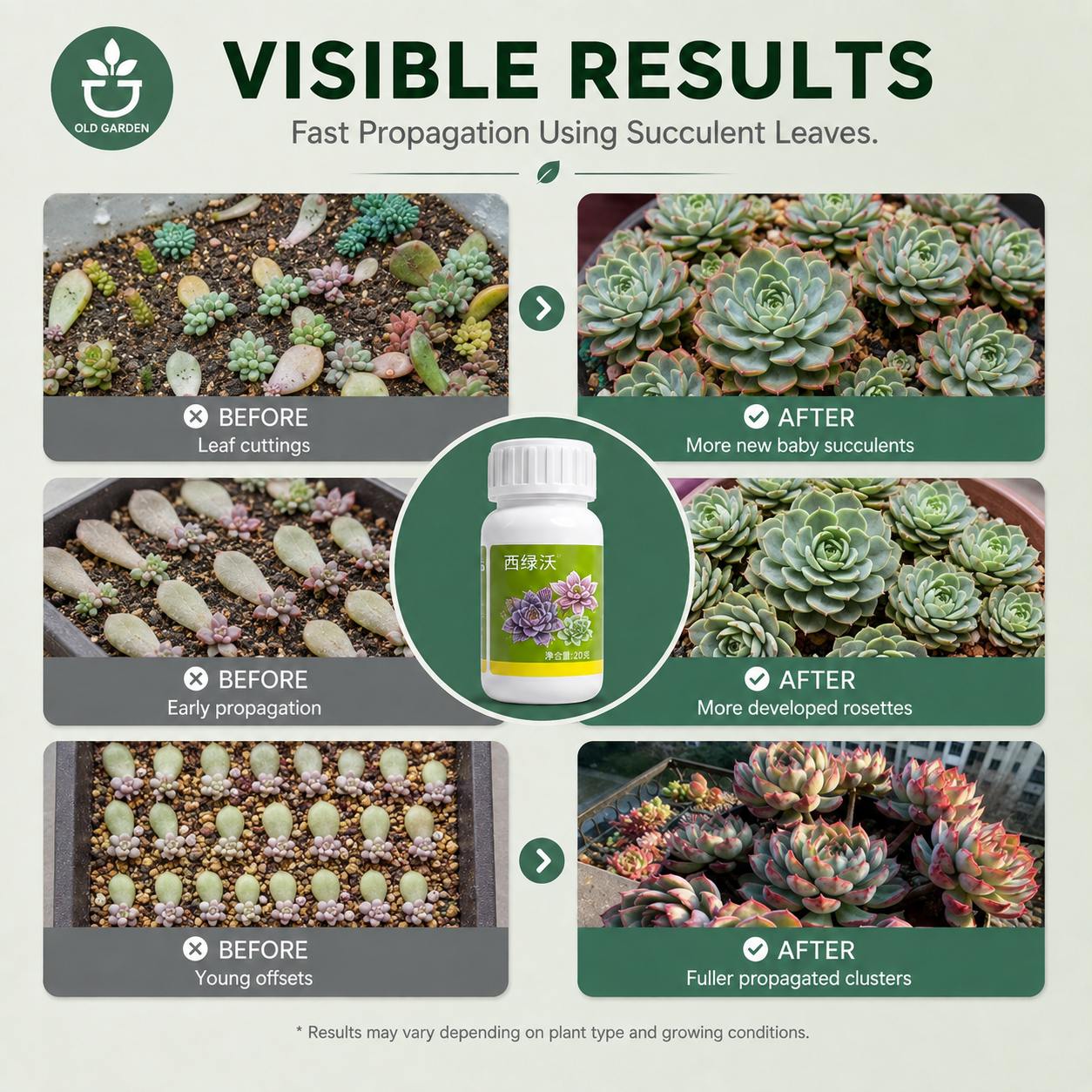Bud Booster
