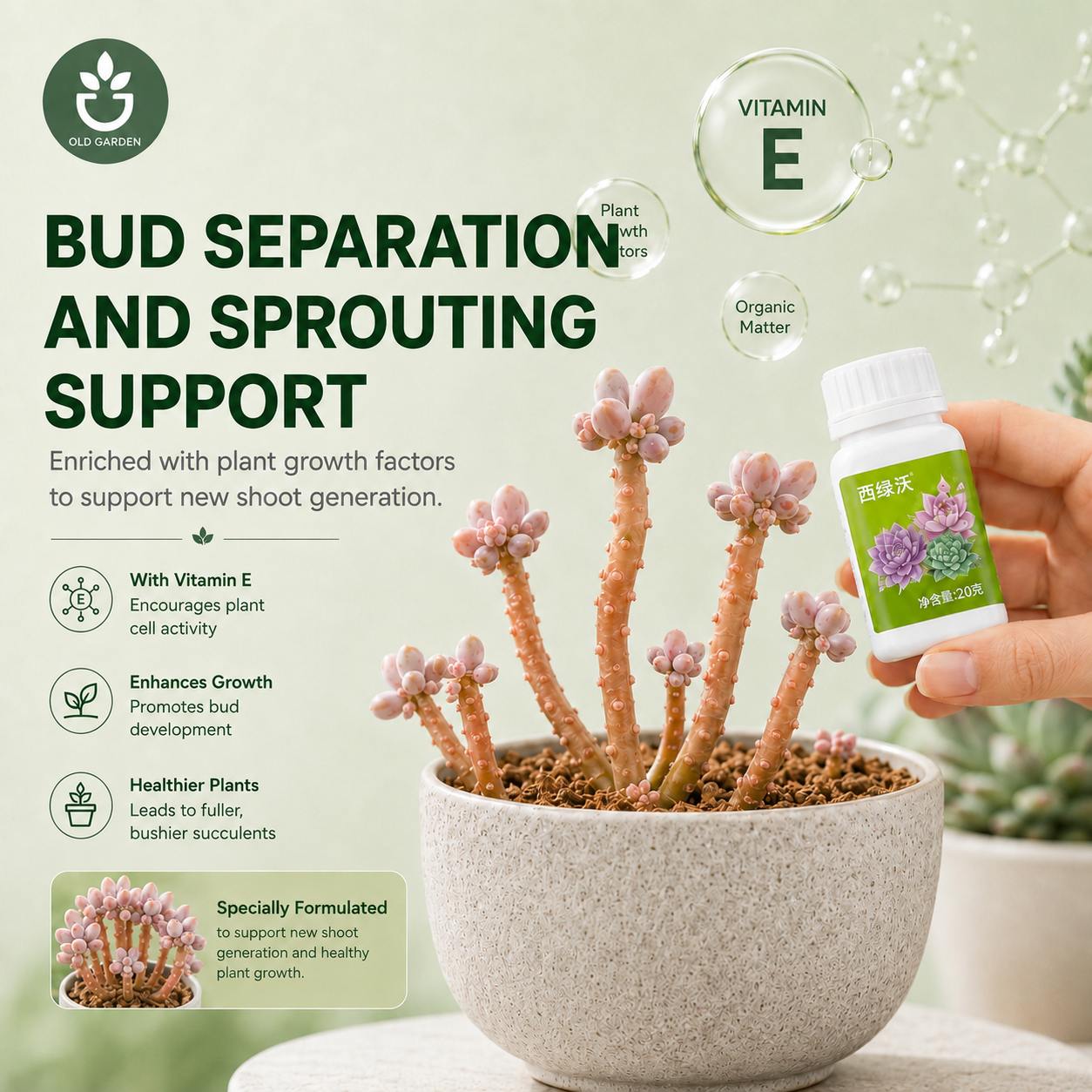 Bud Booster