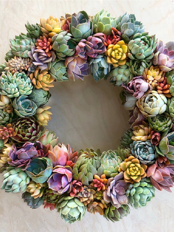 Angelique Heart-Shaped Succulent Wreath