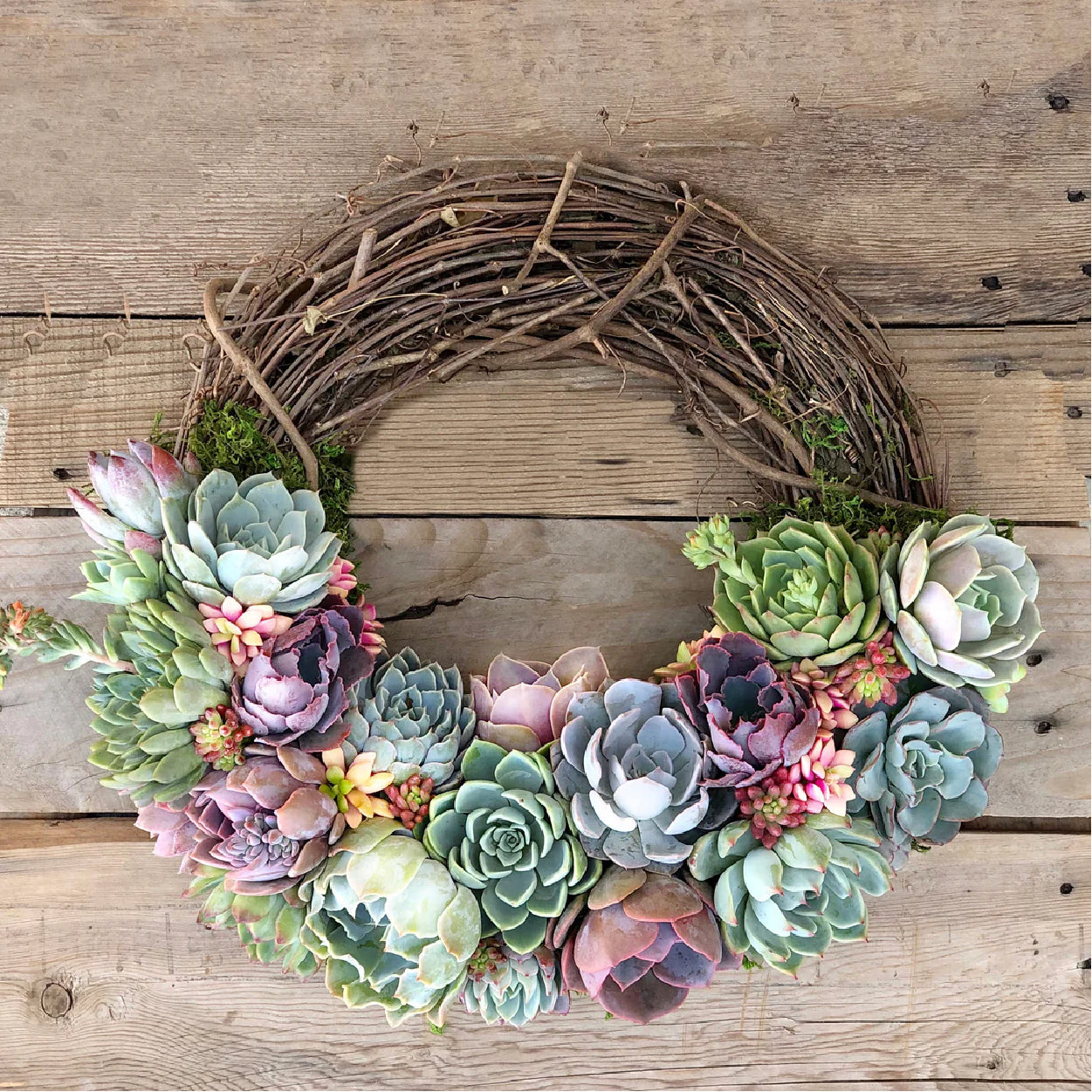 Emilee Grapevine Wreath Trimmed