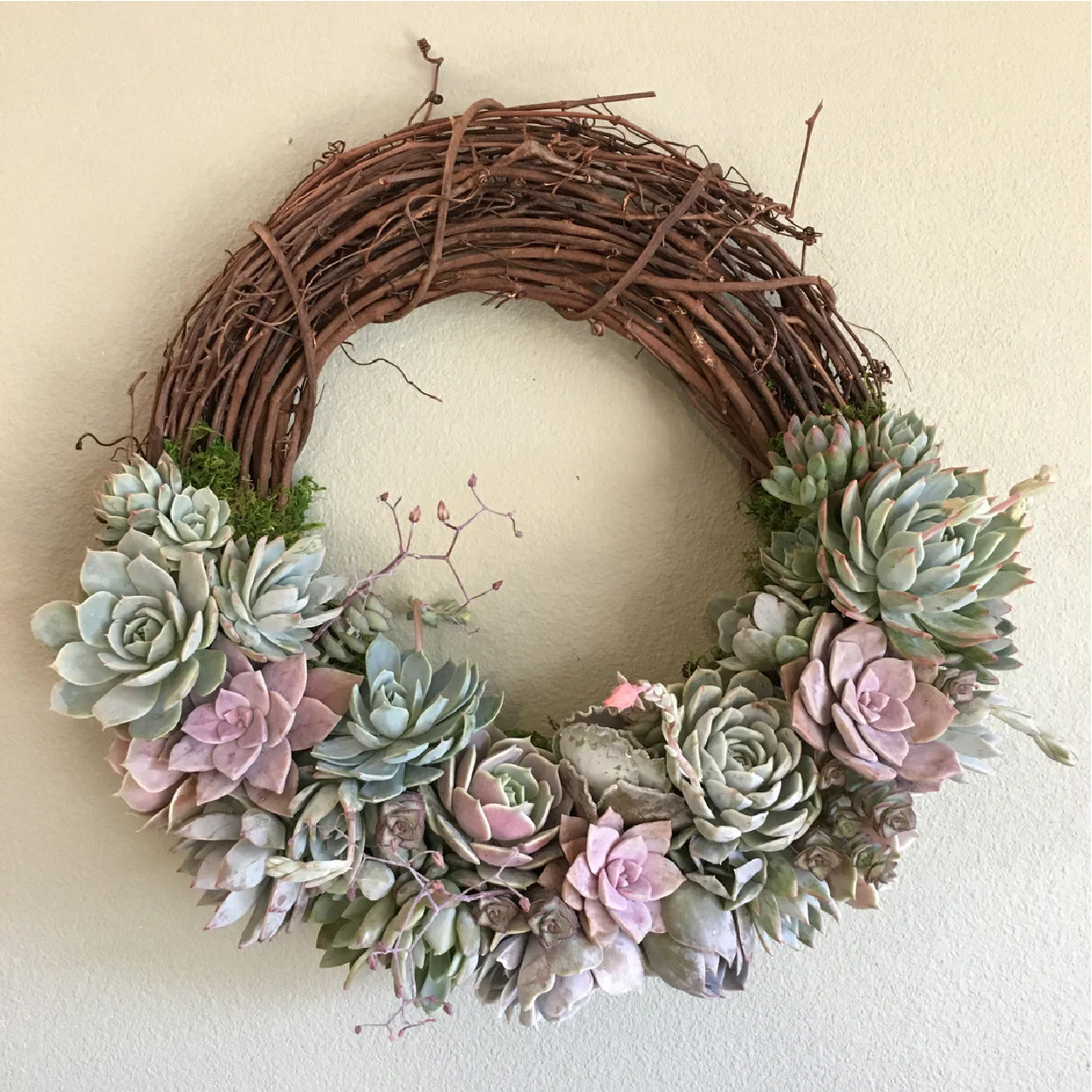 Emilee Grapevine Wreath Trimmed