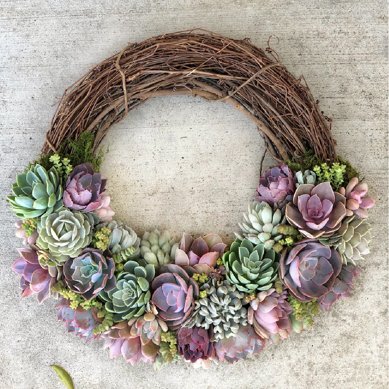 Emilee Grapevine Wreath Trimmed