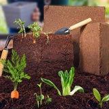 Coconut brick nutrient soil coconut bran coarse coconut shell planting flowers and vegetables